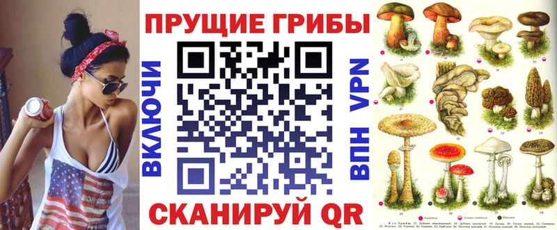 Галлюциногенные грибы Psilocybine cubensis  omg как войти  Москва 