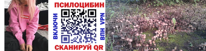 Псилоцибиновые грибы GOLDEN TEACHER Москва