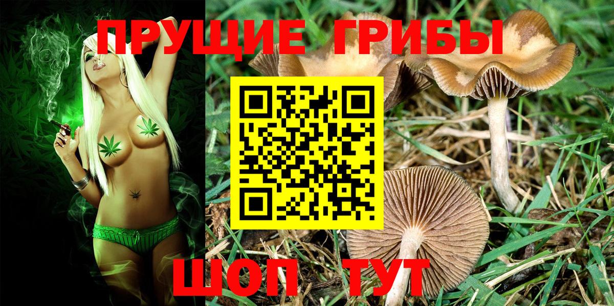 Галлюциногенные грибы мицелий  Вход с VPN  Москва 